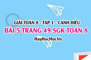 Giải bài 5 trang 49 Toán 8 Tập 1 SGK Cánh Diều
